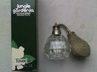 �t�����`�ƃA�����J��