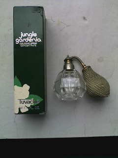 �t�����`�ƃA�����J��