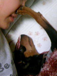 ���̂ɂ����イ�B