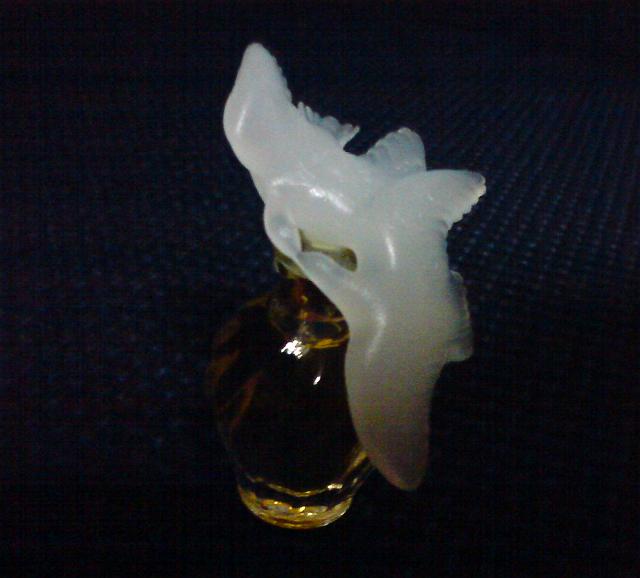 10�N�O�̒a������