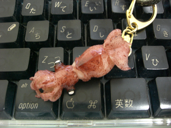 �L�������c