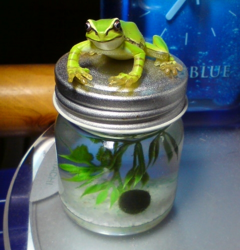 ���킢�����