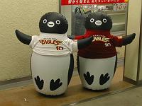 ���w�ɂ��܂���