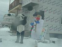 �q�񂹃p���_