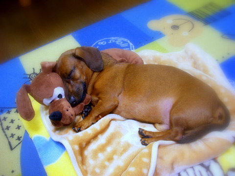 �z�J�z�J�O��