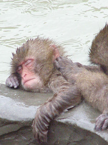 ����ς艷��