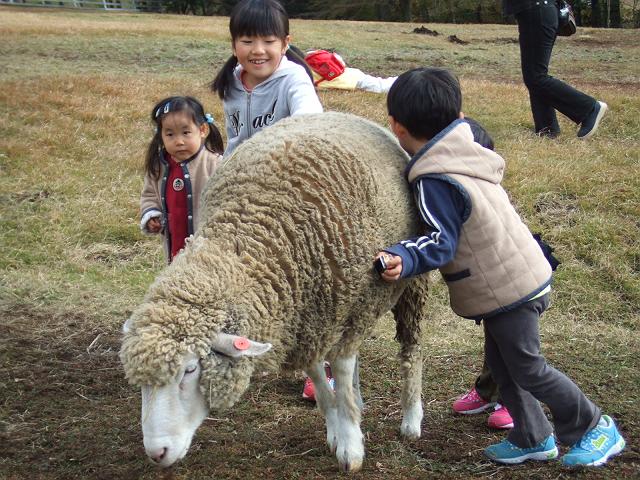 �x�m�R�̘[�̖q��ɂ�