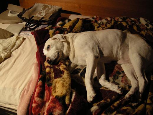 ���M�R�W�x����