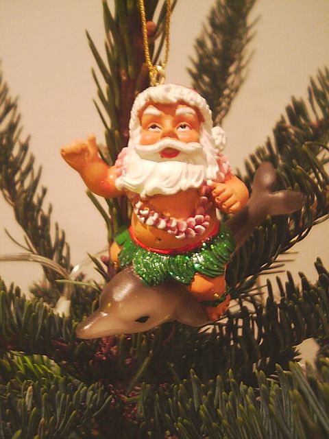 ���܂ɂ̓C���J��