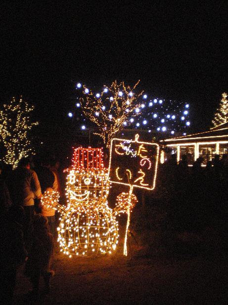 �T���^�̉�