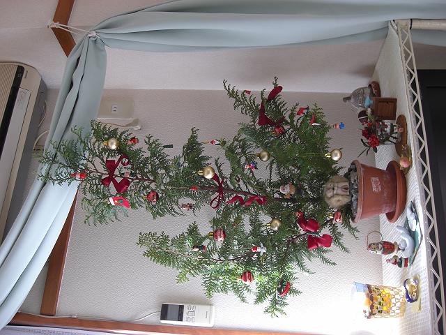 ���݂̖؂ł͂Ȃ���