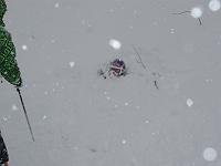 �R�m�_�ɐ��т��������Ă݂܂���