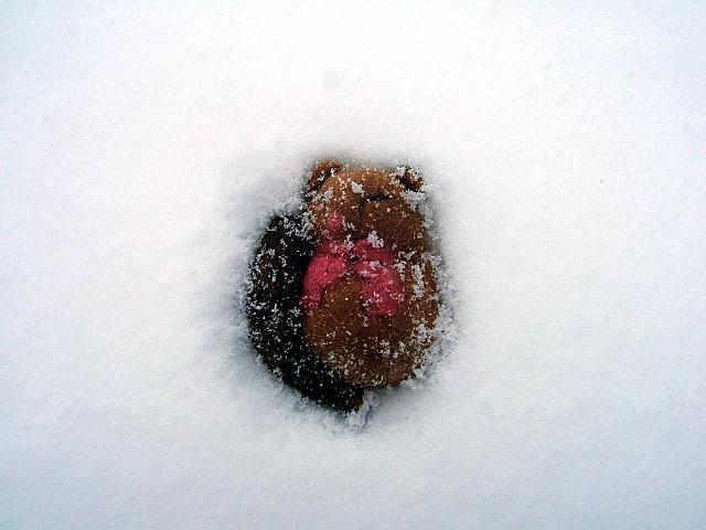 �~�����}�l