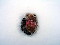 �~�����}�l