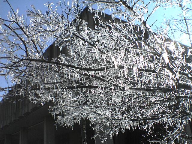 �A�C�X�E�X�g�[��