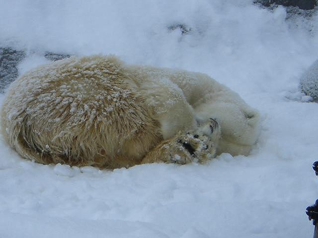 ��̏���Ēɂ���ˁI�H