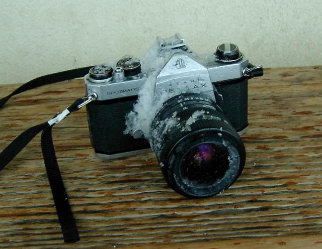 ���Ă����J����