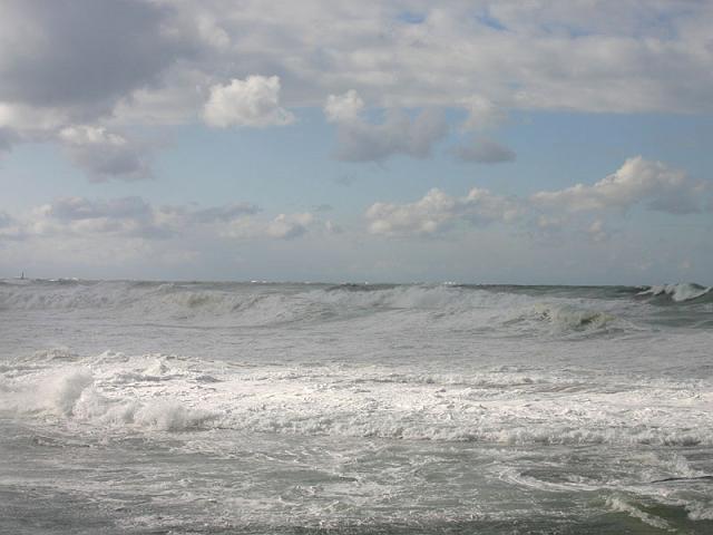 ���{�C�̍r�g