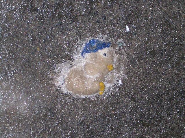 �Ⓚ�A�q��