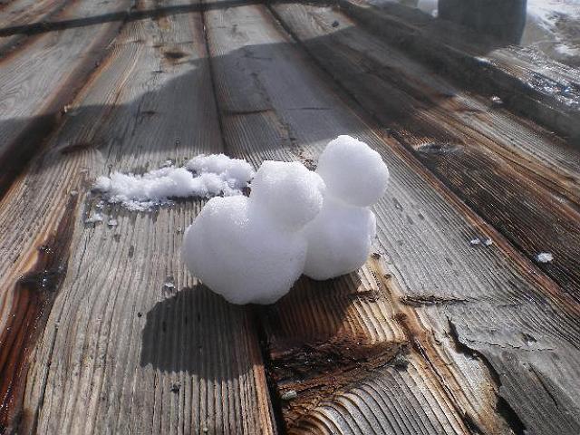 �Ⴞ��܂����Y������