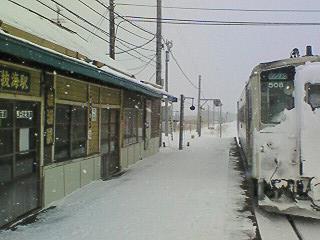 �����A�k���̏�i�B