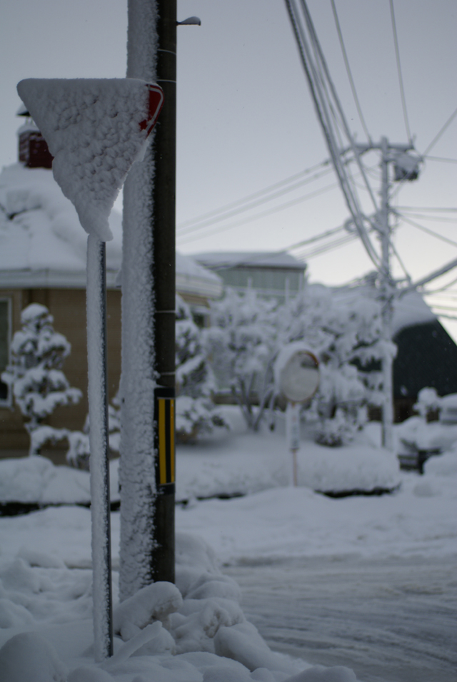 �����Ȃ���I