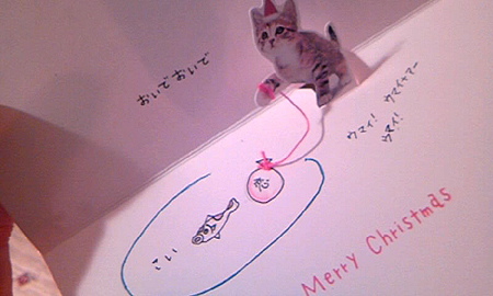 �ꂩ��̗D�����d��