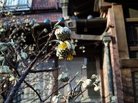 ���[���i������H