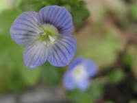 ���Ԍ���őS�J