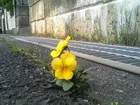 ����O�ɂ�