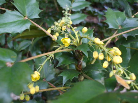 �q�C���M�i���e���i�A��V�j