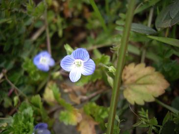 ���̐���