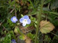 ���̐���