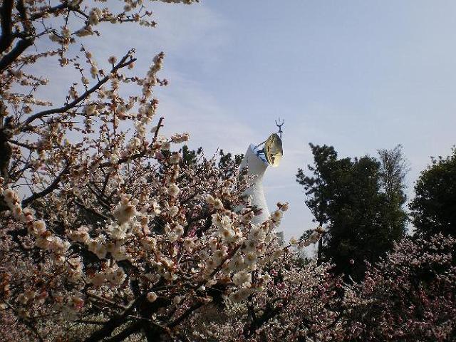 �~�т͔�����