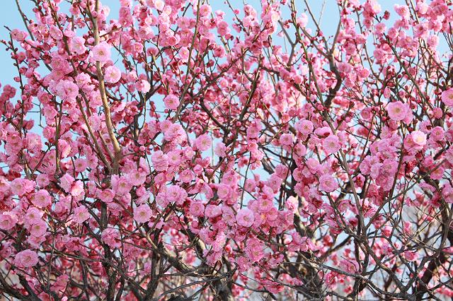 ��������I