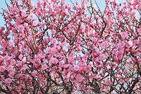 ��������I