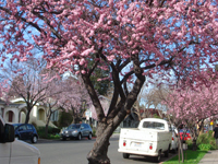 �������łɁc