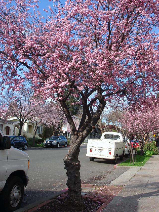 �������łɁc