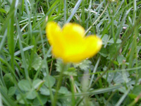 �������Ⴂ�t�L�^�[�I