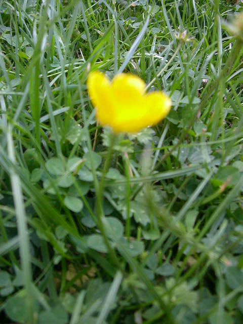 �������Ⴂ�t�L�^�[�I