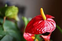 �P�[�L������̉�