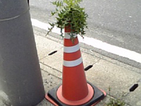 �����A�����I