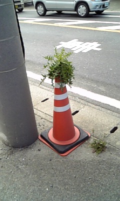 �����A�����I