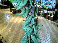 �q�X�C�J�Y��