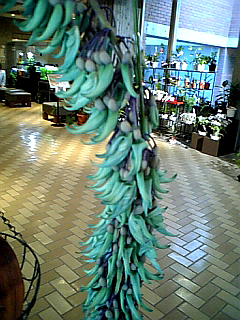 �q�X�C�J�Y��