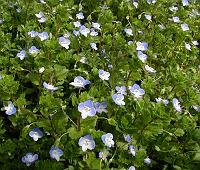 �I�I�C�k�m�t�O��