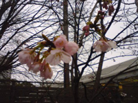 2��22���؏����