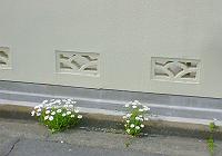 �}�[�K���b�g�������̓t�����X�M�N�D