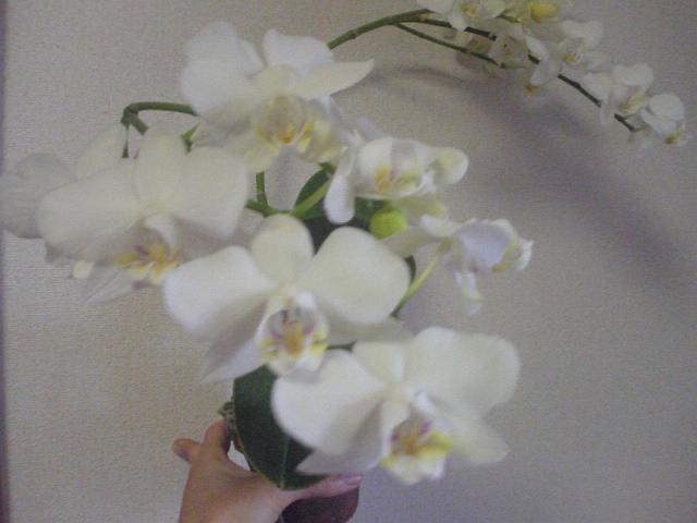 �䂪�Ƃ̌Ӓ���