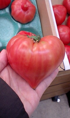 ��蕨�̂悤�ȃg�}�g